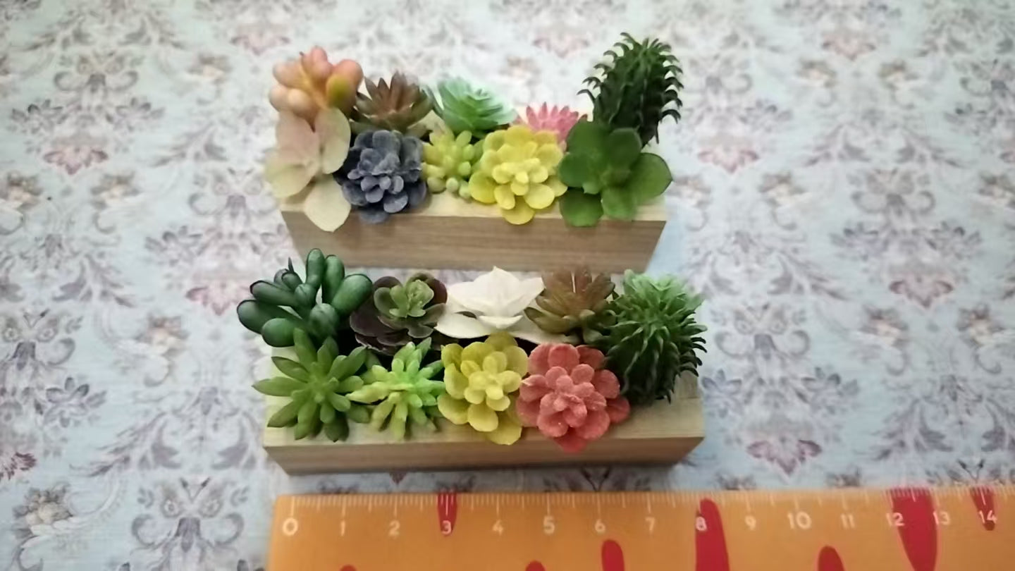 Lily minis Miniature Succulent Plants for Dollhouse $7 2pcs