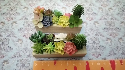 Lily minis Miniature Succulent Plants for Dollhouse $7 2pcs