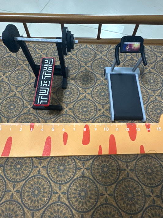 Lily minis-dollhouse miniature Fitness equipment