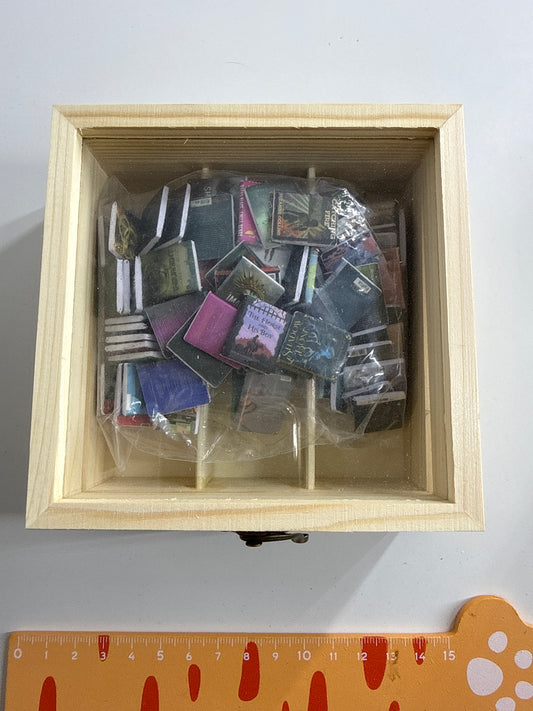 Lily minis-dollhouse Anxious bookshelf decoration