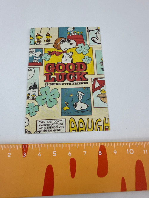 Lily minis-dollhouse sno*py Paper posters 10pcs