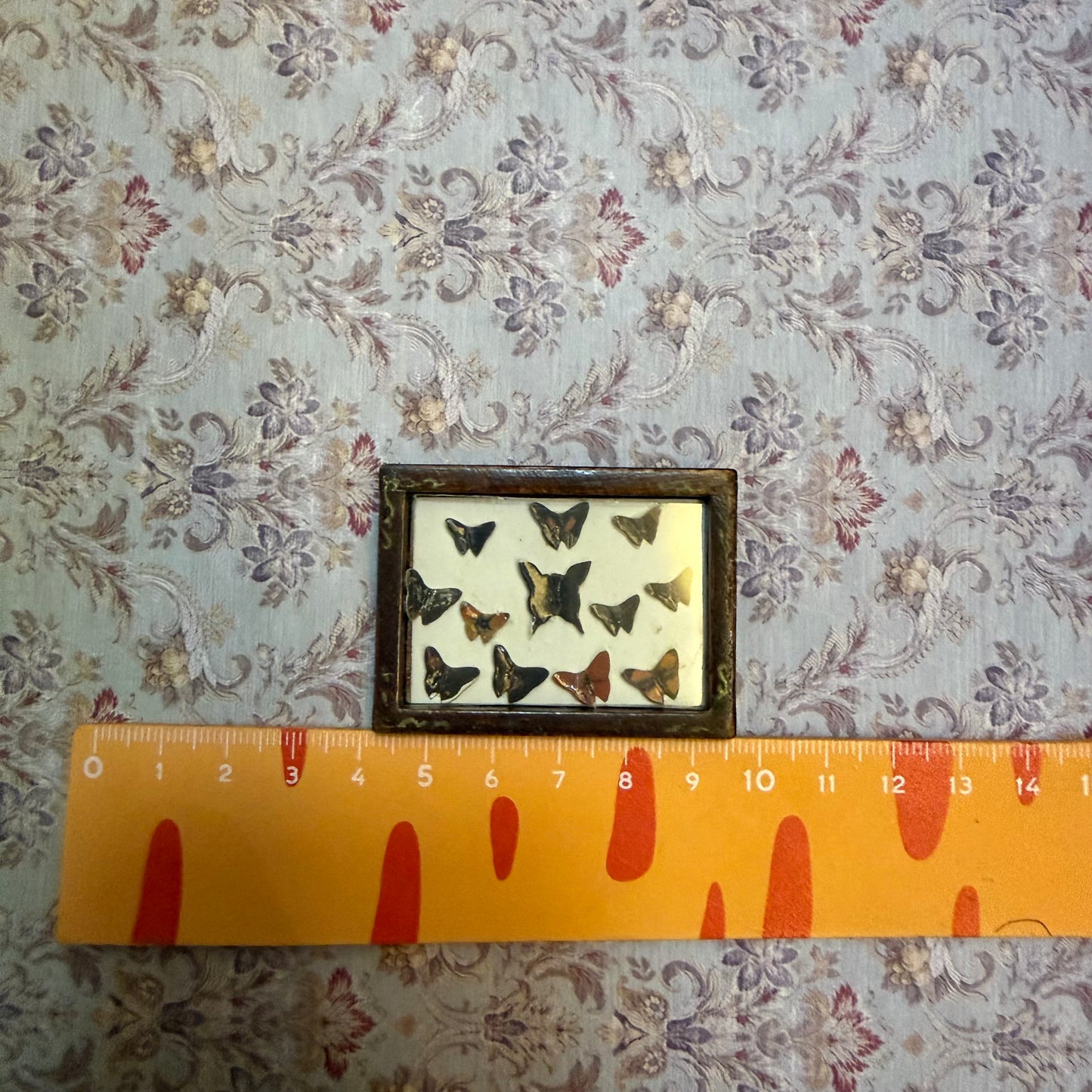 Lily minis-dollhouse miniature butterfly specimen