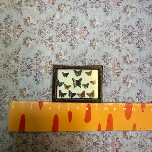 Lily minis-dollhouse miniature butterfly specimen