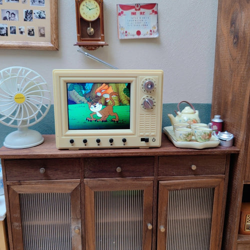 Lily minis-dollhouse Miniature can play TV