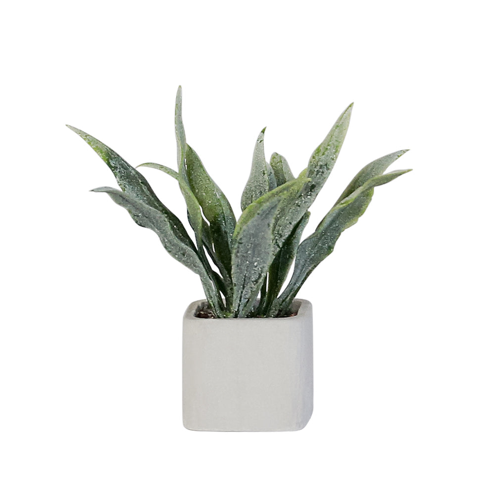 Mini Plant-Sansevieria 1/6 Scale Dollhouse Miniature