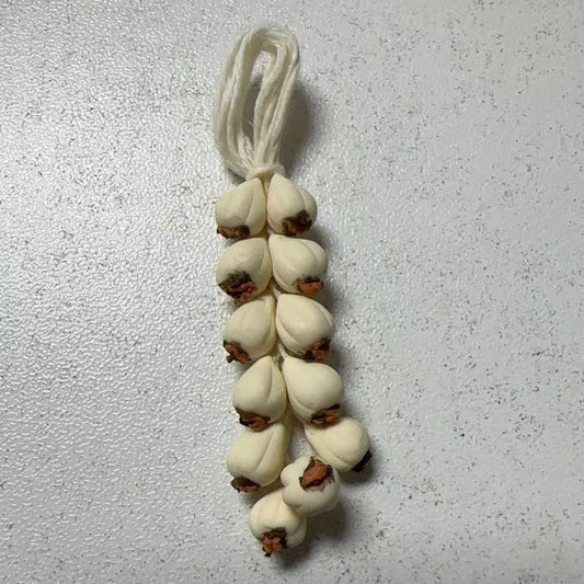 Lily minis-dollhouse Hanging Garlic Braid